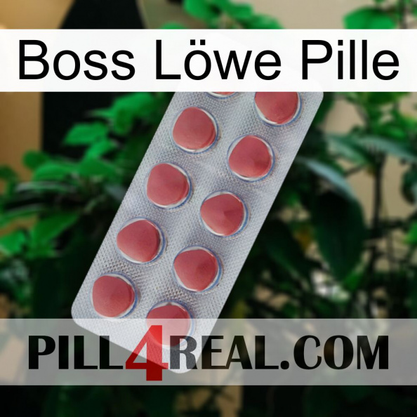 Boss Löwe Pille 18.jpg